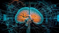 Запись умирающего мозга показала, какие мысли приходят в последние минуты