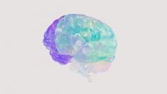 Выяснилось, как именно мозг управляет памятью