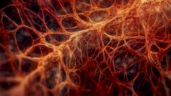 Ученые научились заживлять раны с помощью звука