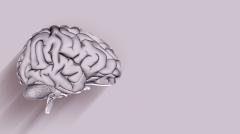 Найден способ обратить вспять старение мозга