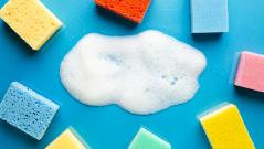 Невидимые рассадники бактерий: 11 бытовых предметов, которые опаснее, чем вы думаете