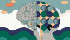 Пережитый в детстве стресс ускоряет старение мозга — открытие