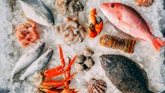 Выяснилось, как рыба влияет на поведение детей