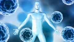 Нобелевскую премию по медицине вручили за открытие «стражей» иммунной системы