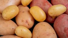 Где лучше всего хранить картошку — и это не кухня