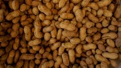 Пищевая аллергия больше не приговор: найден способ обмануть иммунную систему