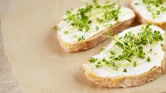 Чем микрозелень полезнее обычной зелени: отвечают диетологи