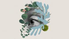 Синдром сухого глаза у молодежи становится эпидемией