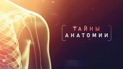 Приложение «Моя Планета» представит новые фильмы из цикла «Тайны анатомии»