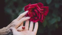 10 ведущих причин смертности в мире