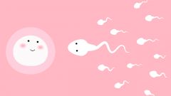 А вы заморозили свои яйцеклетки?