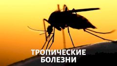 Тропические болезни: наступление на Европу