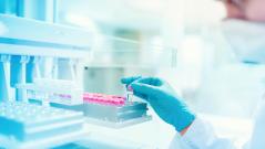 дельтакрон, ковид, штамм