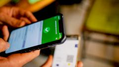 Ковидные сертификаты в России начали выдавать после тестов на антитела