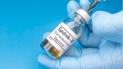 В Подмосковье сделать прививку от коронавируса теперь можно круглосуточно