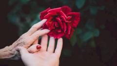 Секс или «бессмертие»: что выберете вы?