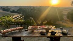 Пикник на свежем воздухе полезен для психического здоровья