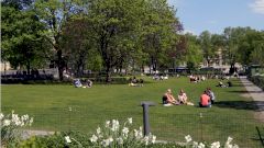 В Швеции признали темпы формирования коллективного иммунитета «удивительно медленными»