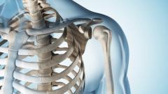 Тульские физики разработали технологию производства сплава, схожего с человеческой костью