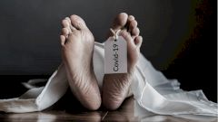 ВОЗ пересчитала смертность от COVID-19