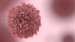 Российские ученые выяснили, как опухоли «уходят» от химиотерапии