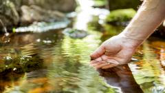 Мужчина выпил сырую воду и заразился бактериями, съевшими часть его легкого