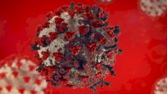 В России ученые выявили 18 новых мутаций COVID-19 в организме одной пациентки