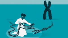 Названы нобелевские лауреаты в области химии