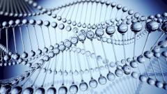 Выяснилось, как вейпинг может менять ДНК