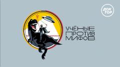 Правда о метаболизме и раздельном питании: премьера проекта «Ученые против мифов» на канале «Доктор»