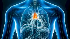 «Бесполезный» орган, который хирурги часто удаляют, эффективен в борьбе с раком