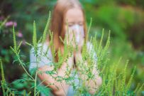 Сезонная аллергия: есть ли спасение?