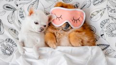 Будьте добрее, или Как научиться управлять эмоциями