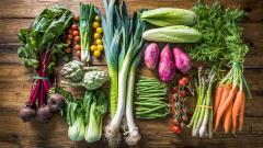 Cекретное оружие против вирусов: открыто неожиданное свойство клетчатки