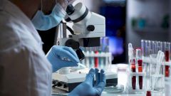 Эксперты рассказали, как долго сохраняются антитела к COVID-19 у легко переболевших пациентов