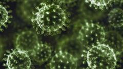 В России разработали новое соединение, подавляющее репликацию коронавируса