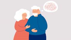 Оценено влияние материального достатка на старение мозга