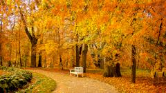 Власти предложили ввести в России нерабочие дни с 30 октября по 7 ноября