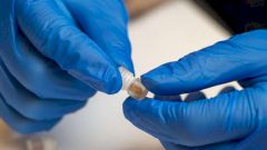 Новое изобретение позволит собирать образцы бактерий в пищеварительном тракте человека