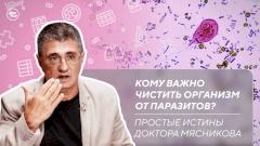 Синяки без причины | Какие аптечные средства укрепят иммунитет