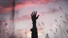 Находки Доктора: любовь победила кому