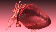 Заболевания сердца