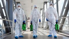 К 2050 году от болезней, передаваемых от животных, может погибнуть в 12 раз больше людей