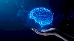 Понять психические расстройства: в России впервые в мире создали карту липидов мозга