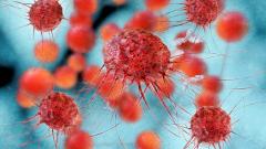 Названы самые редкие виды рака