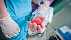 «Они хотят крови? Они её получат»: Депздрав предложил москвичам стать героями