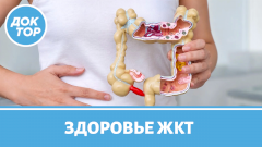 ЖКТ сбивается из-за этой ошибки в питании