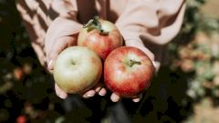 Что произойдет, если вы будете есть два яблока в день?