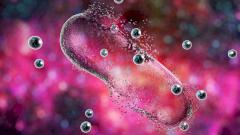 Открыт новый класс антибиотиков, эффективных против супербактерий