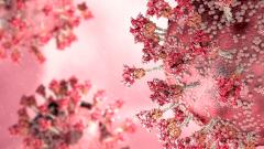 Куратор ковидного госпиталя рассказал, как привитые переносят «Омикрон»